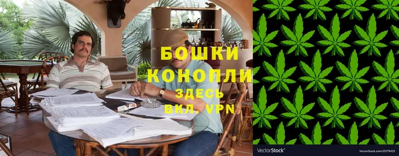 Конопля White Widow  Ипатово 